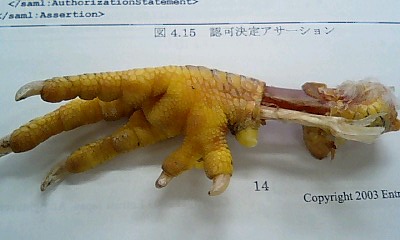 061208_1531~0001.jpg