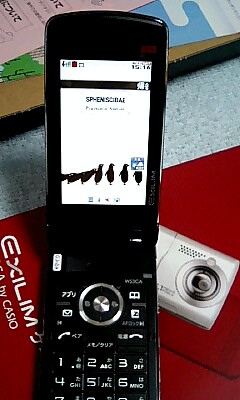 070811_1516~0003.jpg