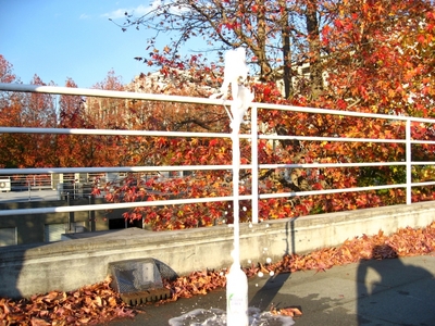 071122_IMG_6052.jpg