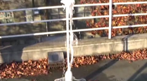 071122_vsMitsuyaCider.jpg