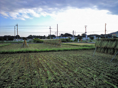 CA390126.JPG