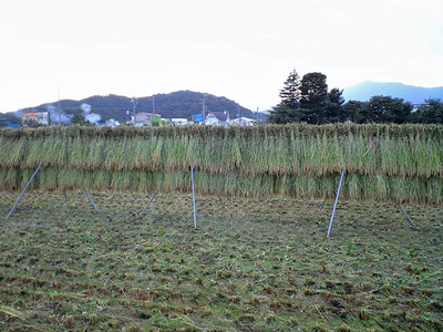CA390127.JPG