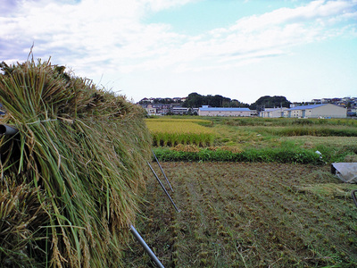 CA390128.JPG