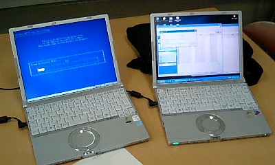 W5とW4
